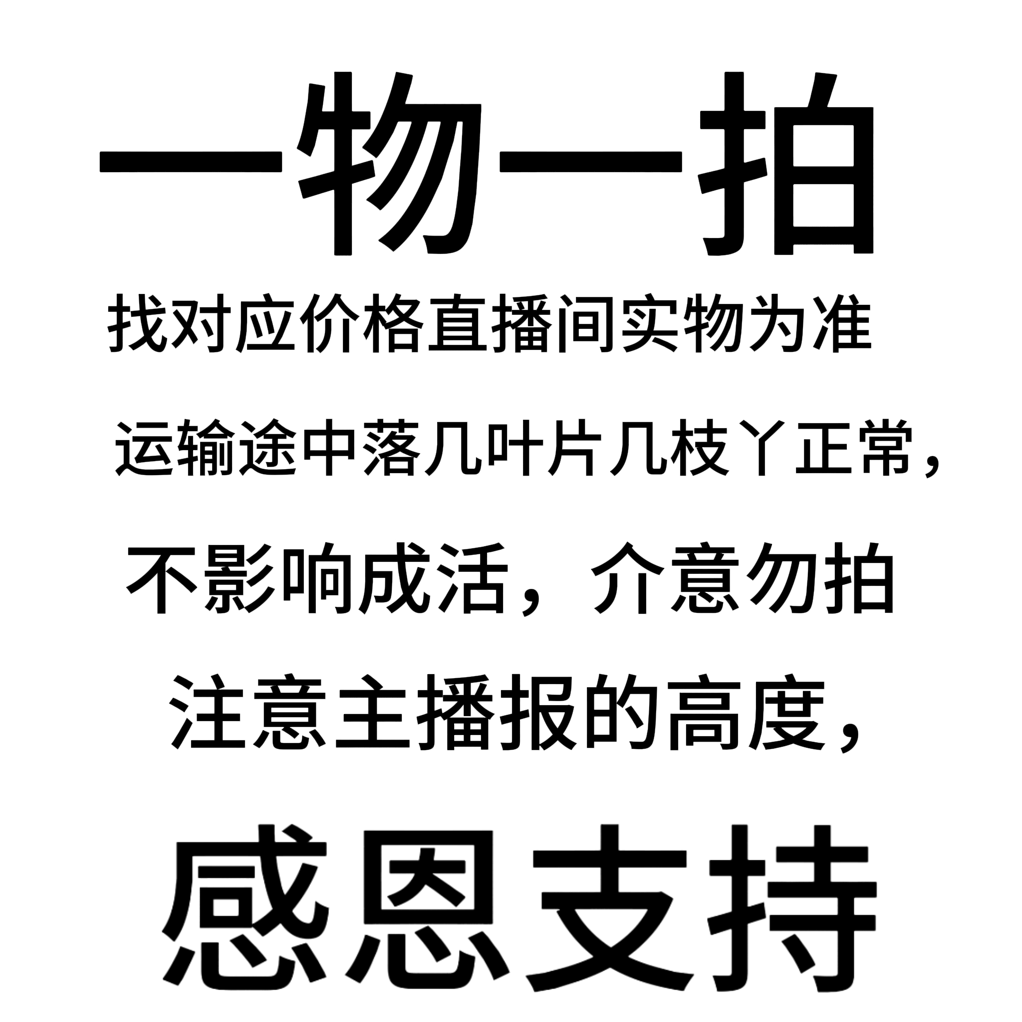 基地老桩好养盆景(直播间实物为准)