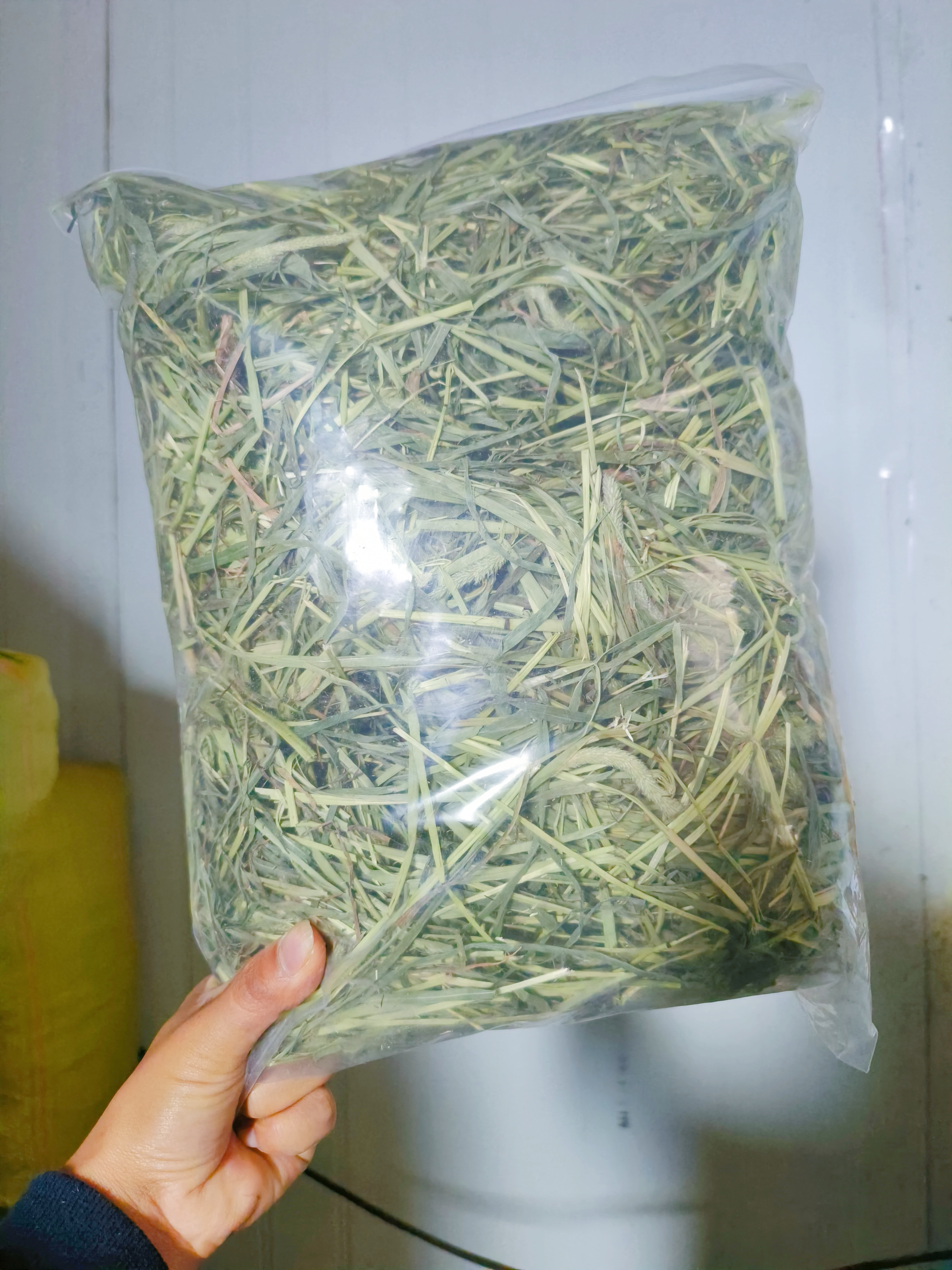 福袋款头茬晒干草兔子