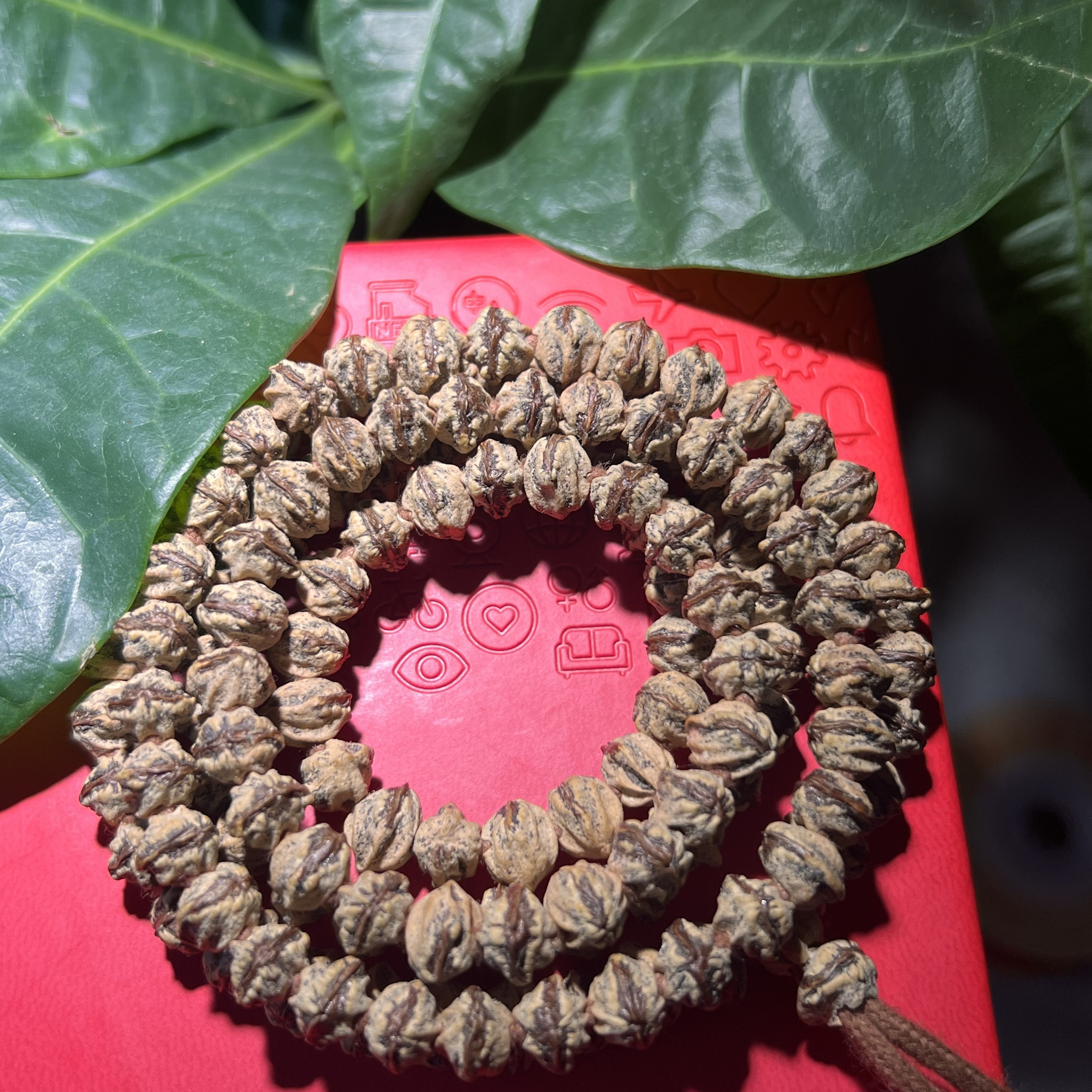 热振纯原装大红芽藏式横打7.5+