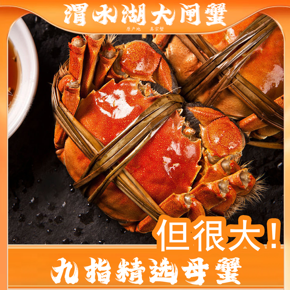 【超大只！鲜活】公蟹5.0两以上两8/9/10只大闸蟹精选养殖活蟹