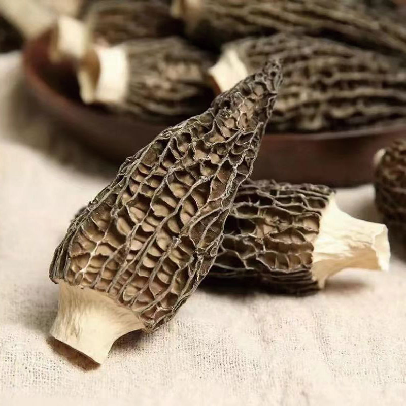 羊肚菌新货干羊肚肉厚精选大个头茬食用菌煲汤食材特产干货批发