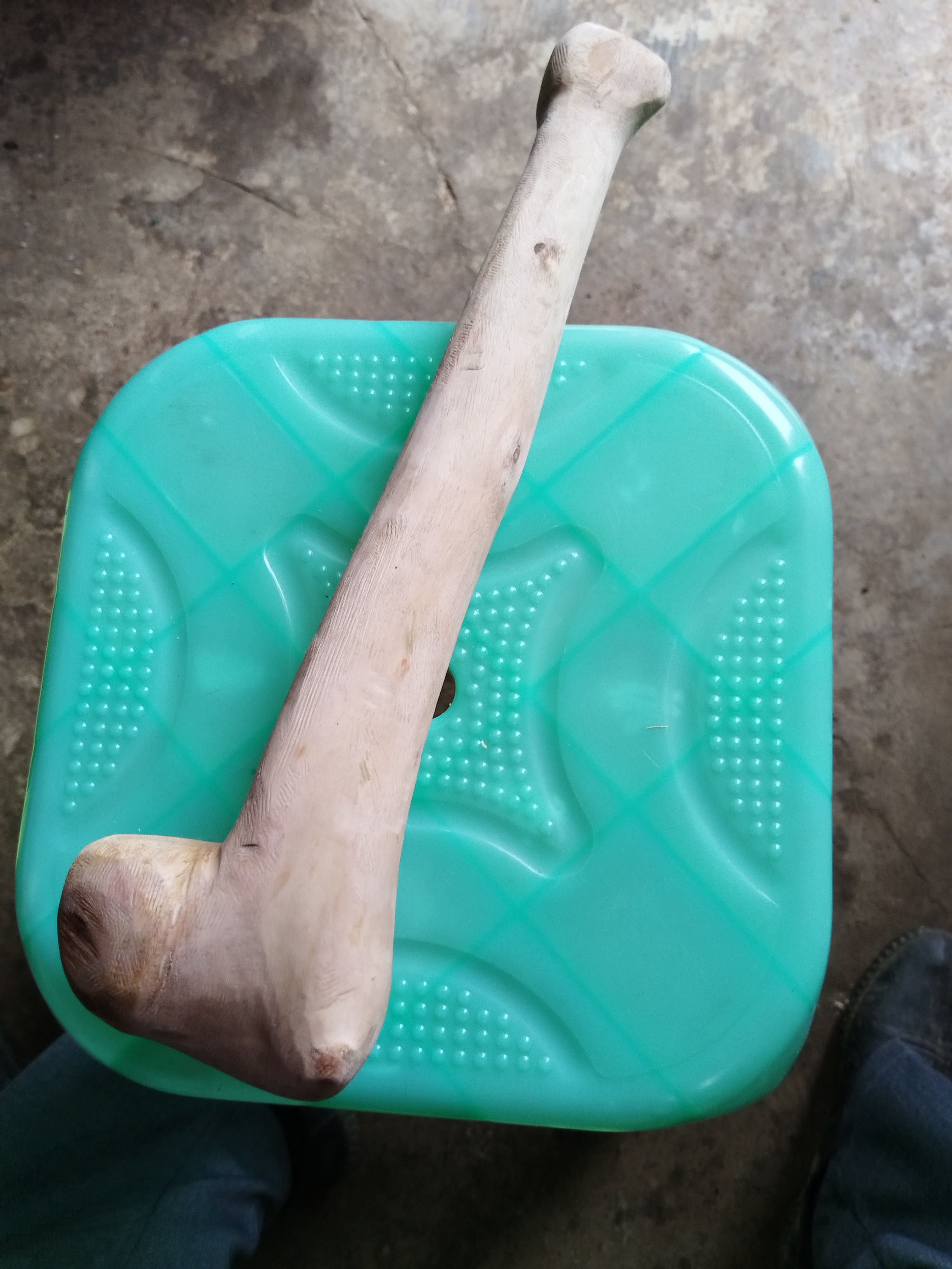 手把件老年人垂背长36公分