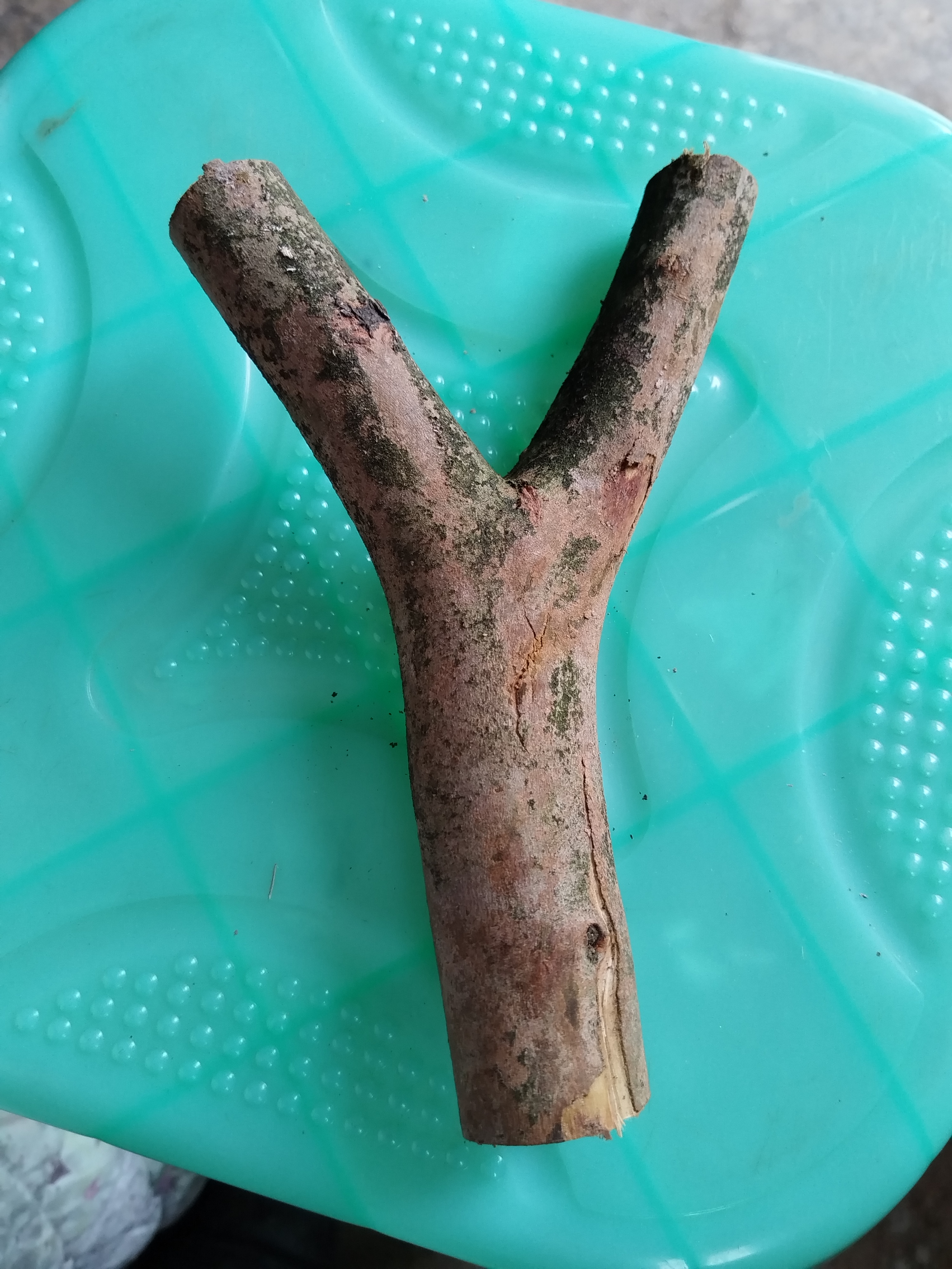 毛料手把件丫丫手把件毛料二十五一个四十两个