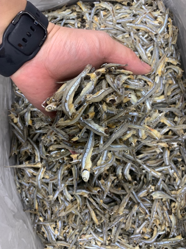 【蚝兴专线】汕尾本港无头饶鱼干包邮