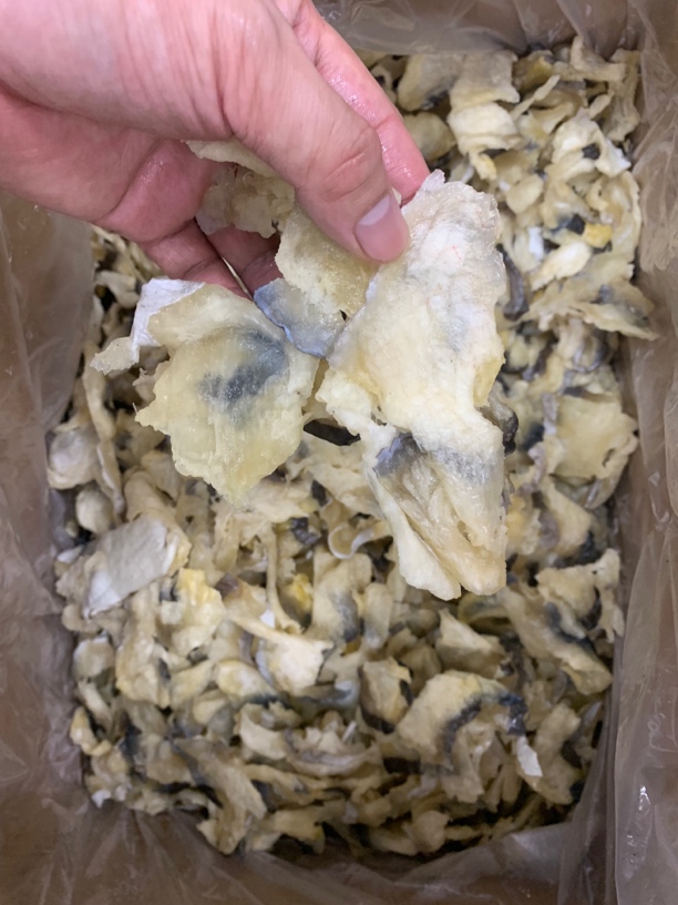 【蚝兴专线】汕尾本港滑鱼肉片包邮