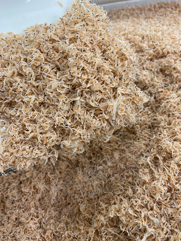 【蚝兴专线】汕尾本地淡晒樱花虾皮特细腻包邮