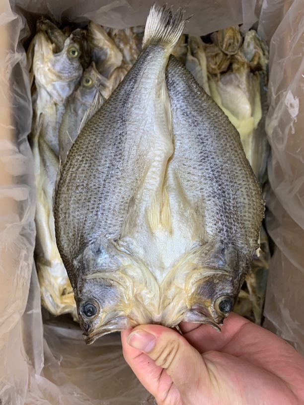 【蚝兴专线】汕尾本港开片小鲈鱼干包邮