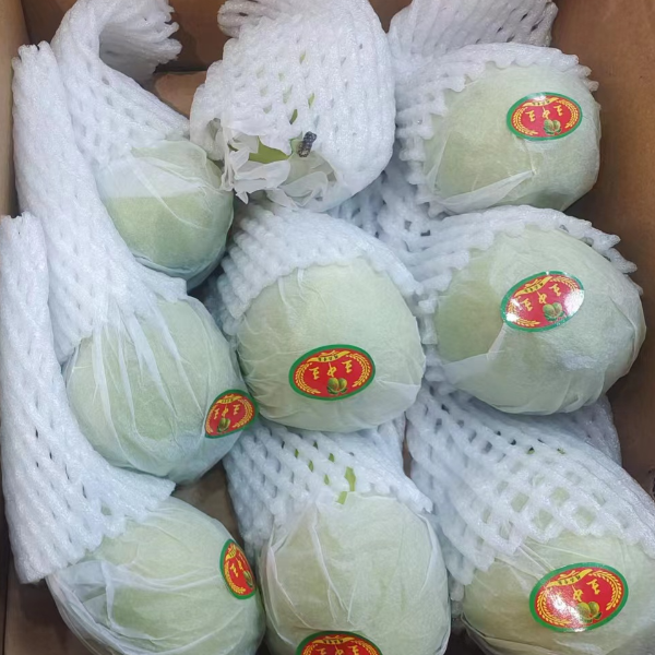 （同城配送）库尔乐香梨，约9斤重