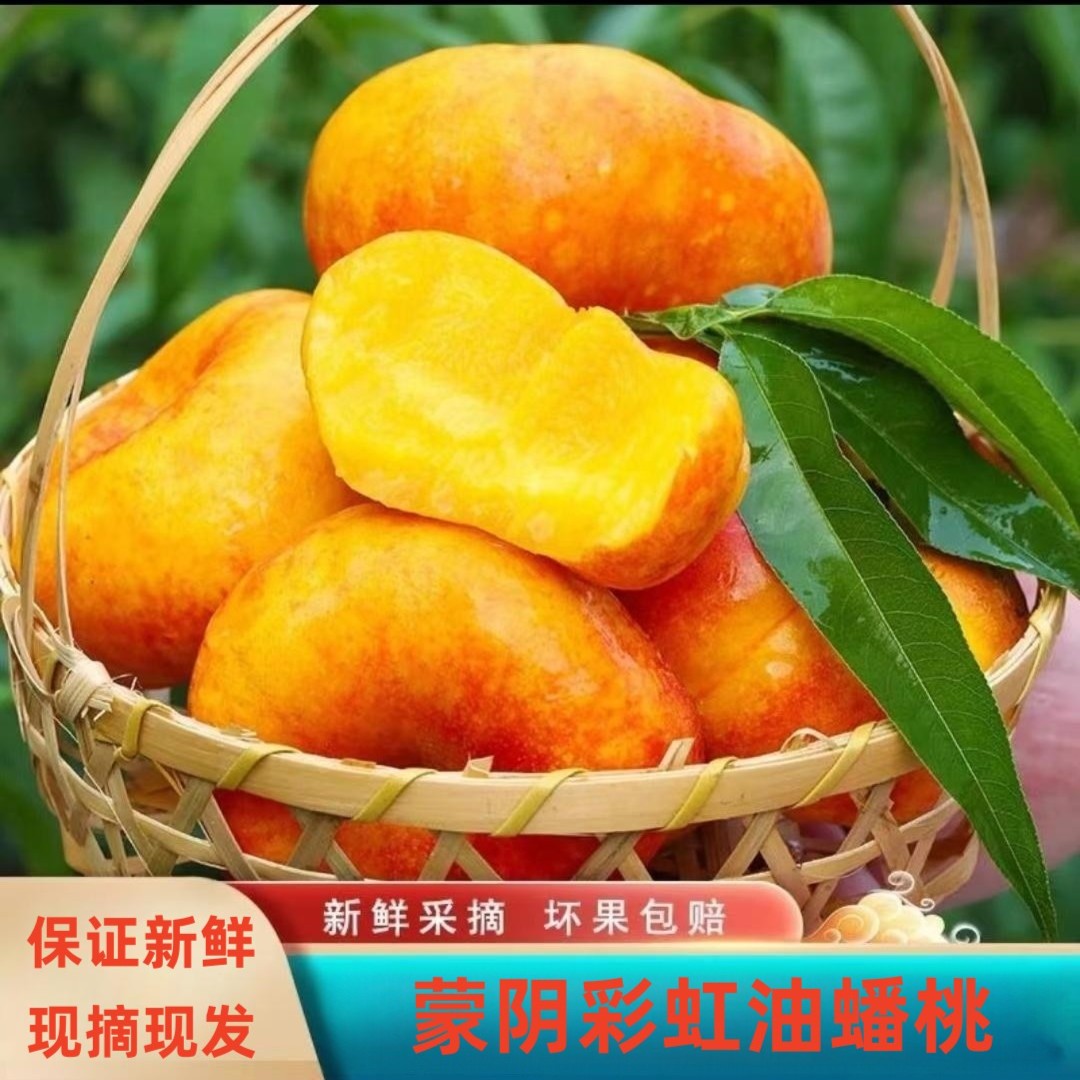 蒙阴蜜桃沂蒙蜜桃桃中贵族彩虹蟠桃彩盒装现摘现发饱满多汁