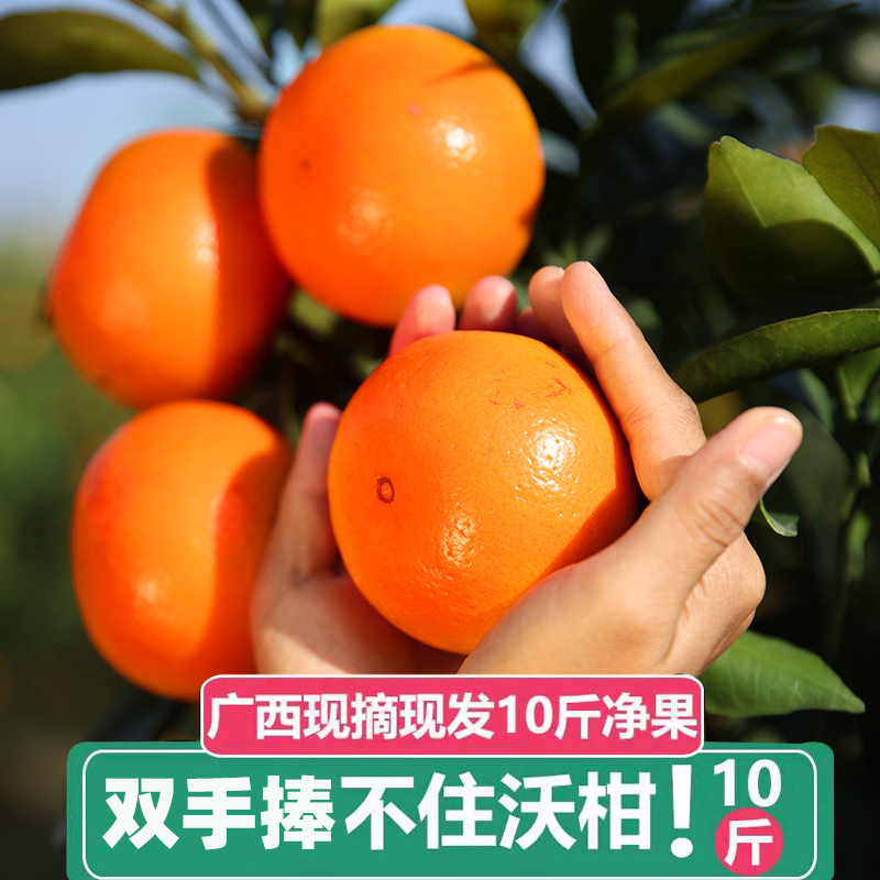 沃柑广西武鸣10斤新鲜现季水果橘子当季桔子一级正宗包邮5斤大果