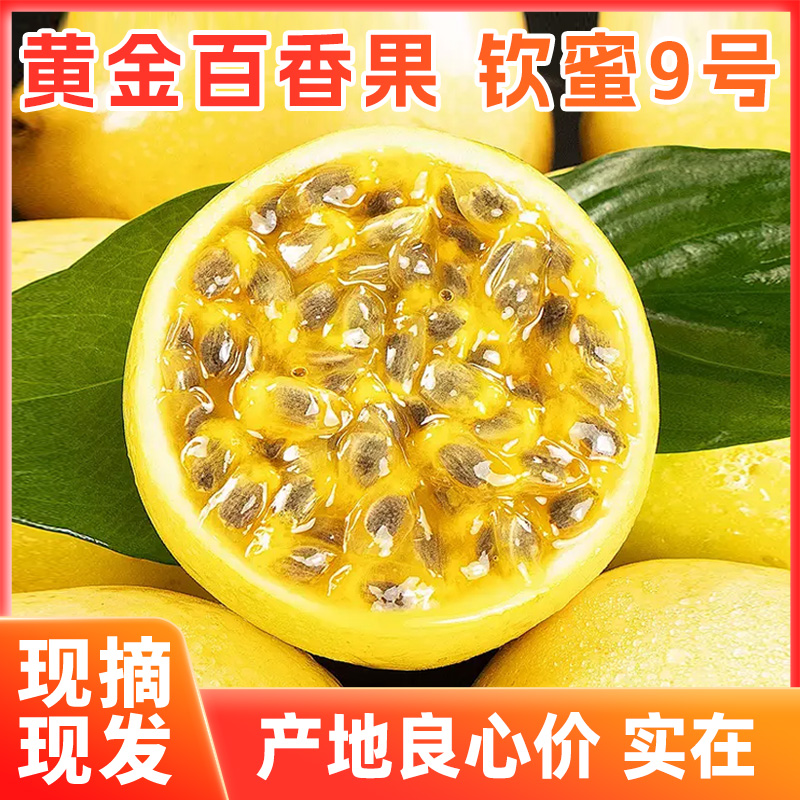 正宗新鲜钦密9号黄金百香果广西9号百香果新鲜水果当季【不降级发】