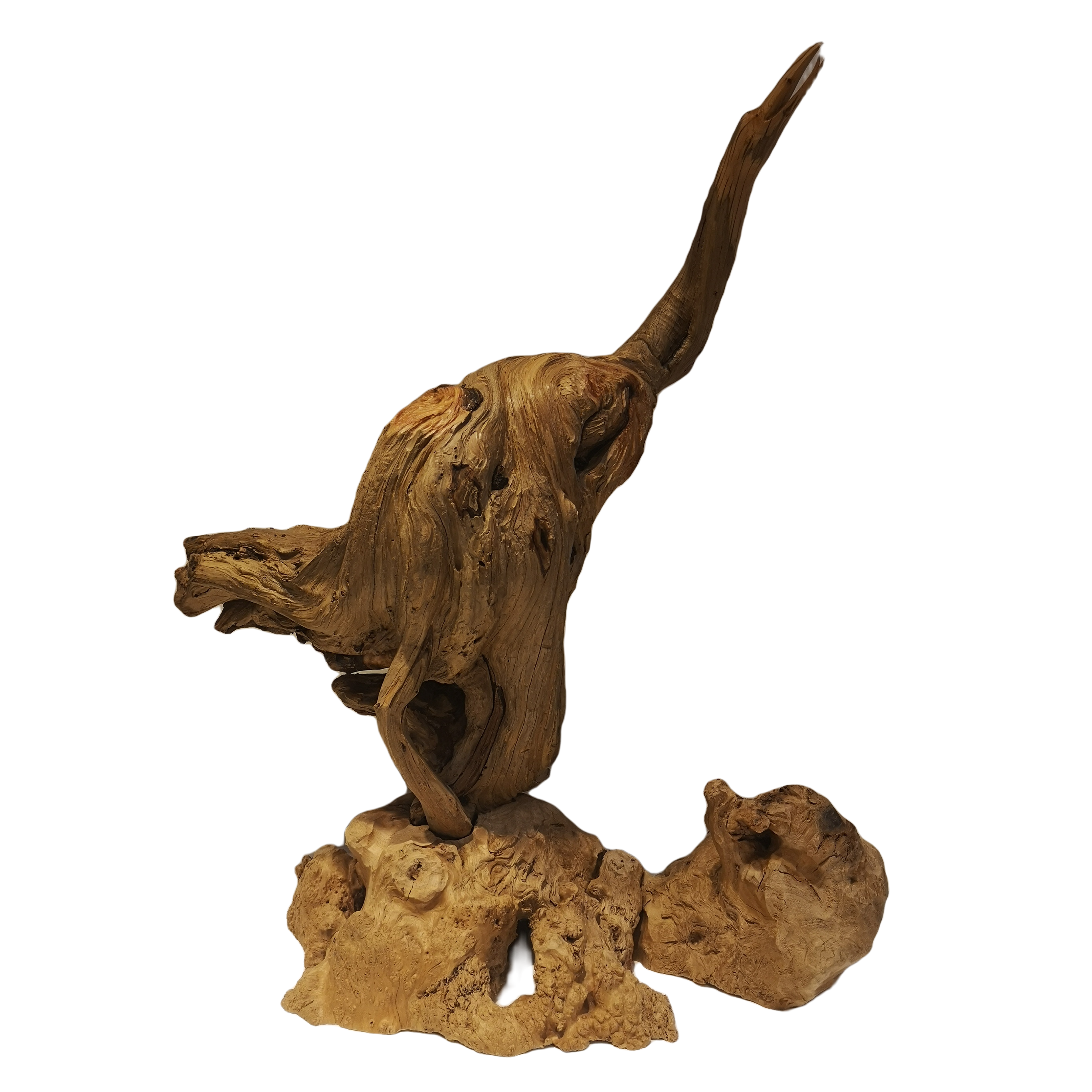 太行沉华老料崖柏 天然根雕《鹤鸣九天》工艺品木雕台面摆放精品