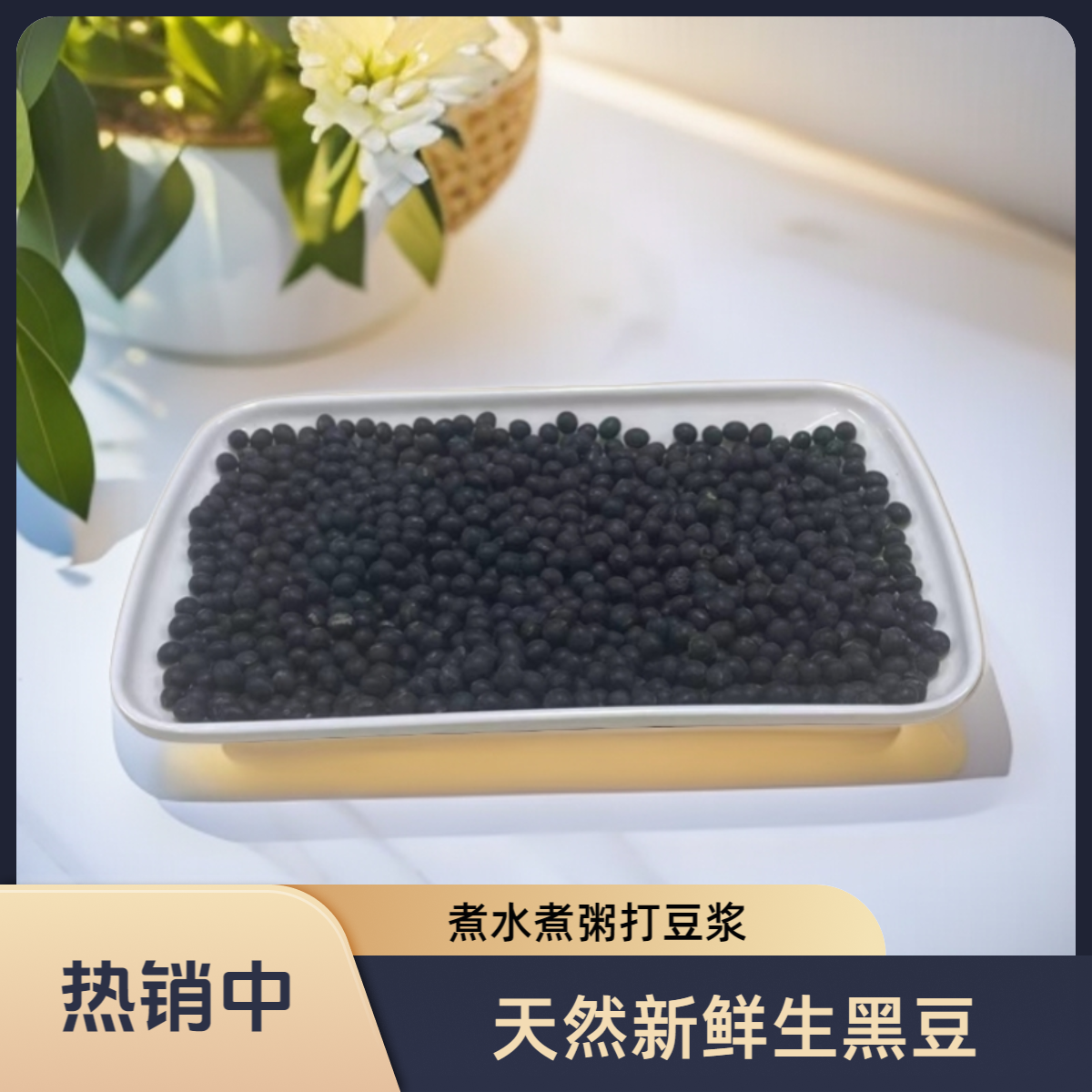 黑豆生黑豆绿芯黑豆煮粥打豆浆专用黑豆