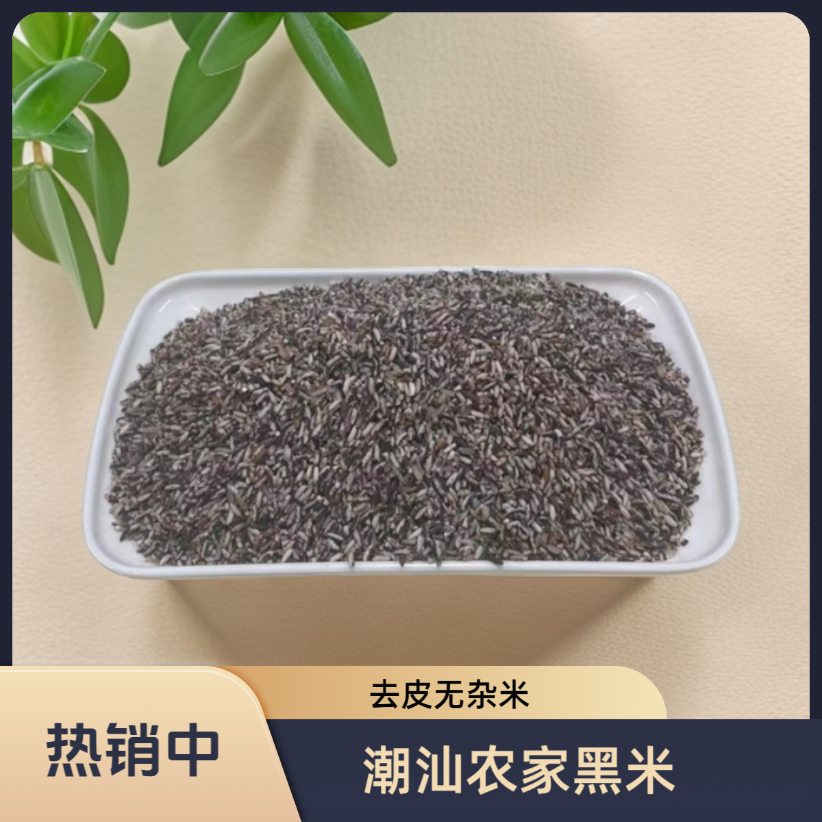【普源优选】潮汕农家去皮黑米糯米