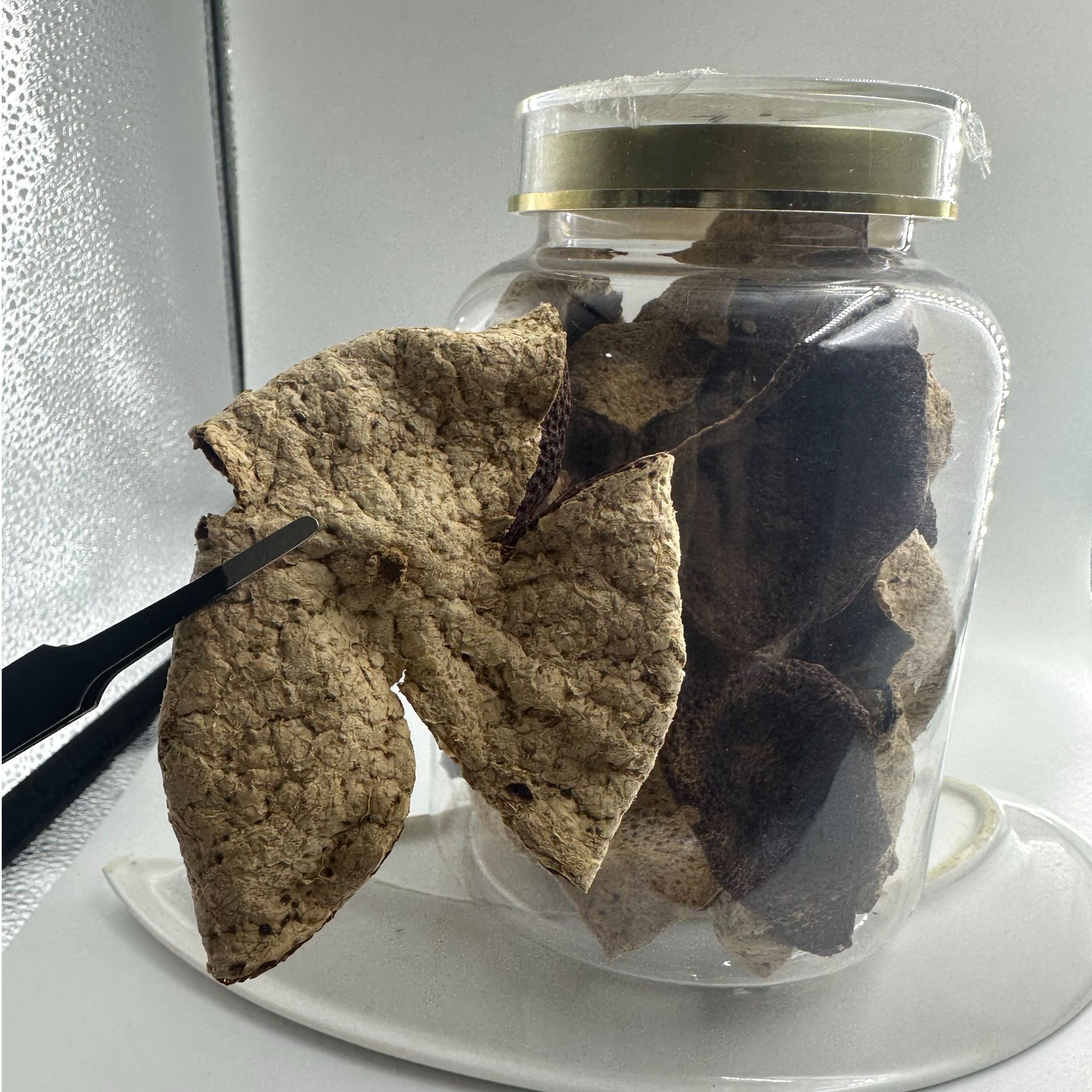 【普源优选】新会茶坑陈皮十年