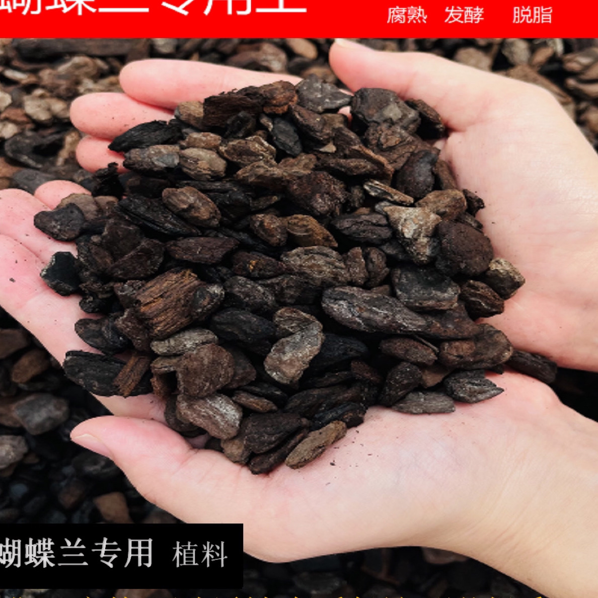 花农杰哥原生种蝴蝶兰专用进口高龄松树皮发酵