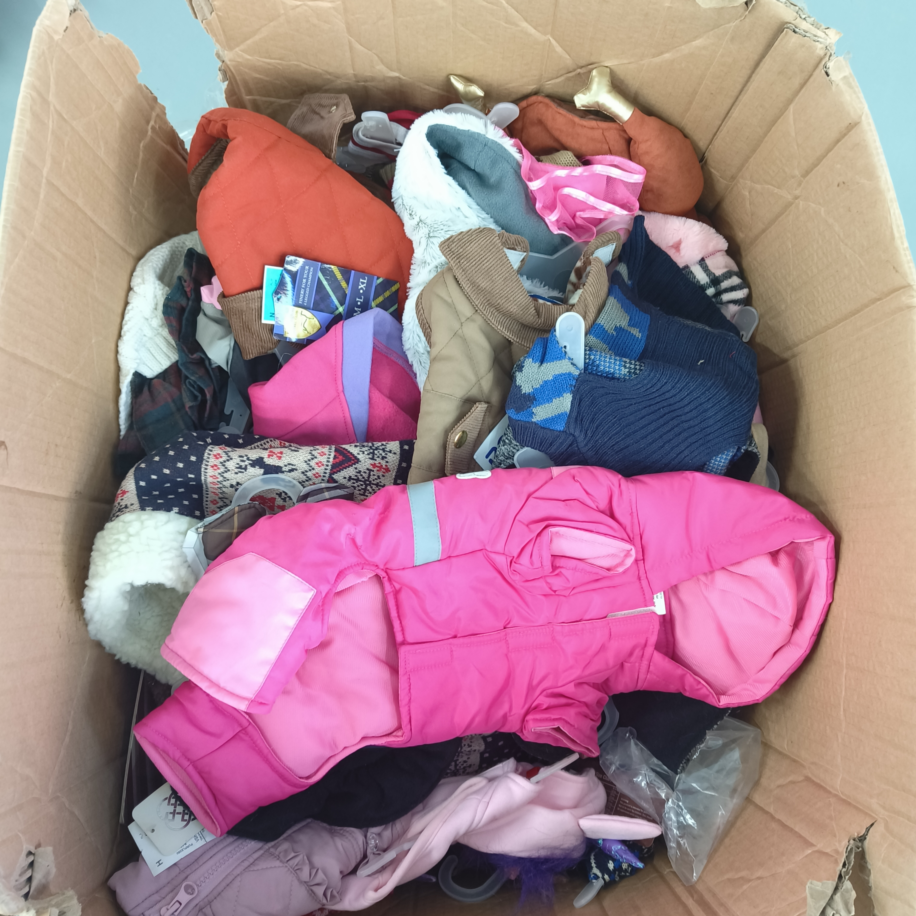 直播专属粉丝福利宠物用品衣服猫狗通用