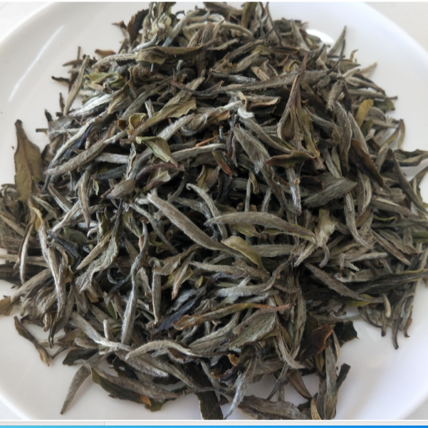 福鼎白茶兵壶缘2017年陈韵牡丹王陈香密韵可可香药香水柔