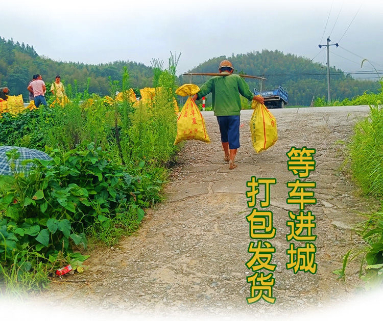 【顺丰包邮】江西赣州信丰农村赶集农民自家种植蔬菜水果