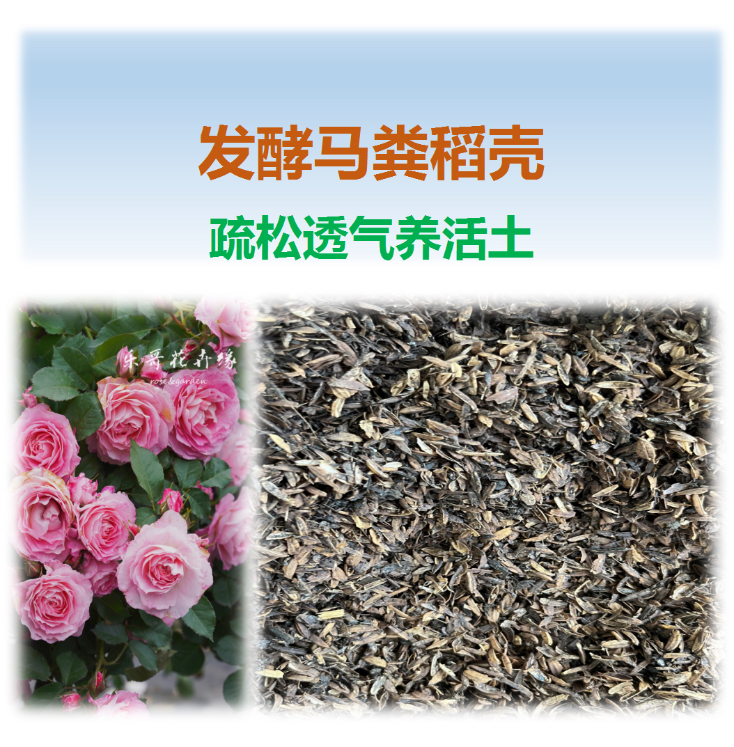 马粪稻壳：配土用基质、疏松透气、极少数会出现白符跳虫、介意勿拍。