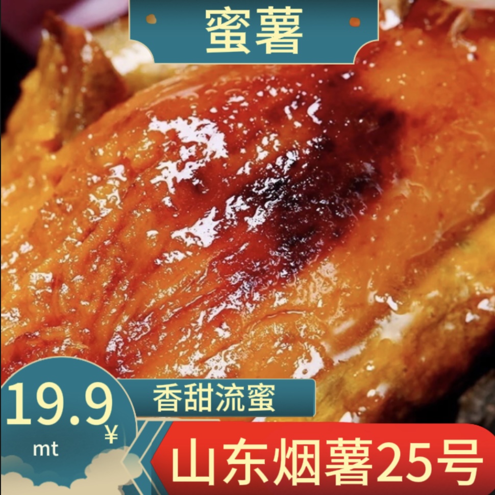 【坏果包赔】山东种植25号蜜薯净重5斤新鲜糖心香甜番薯红薯烤地瓜