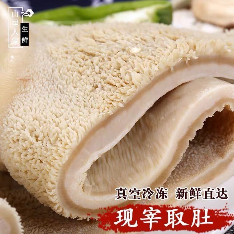 【现货直发】新鲜金钱肚新鲜冷冻牛金钱肚半成品熟牛肚商用新鲜冻