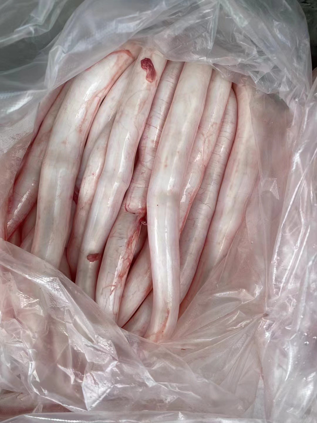 新鲜鳗鱼胶 鲜鳔现称改价 0-500克