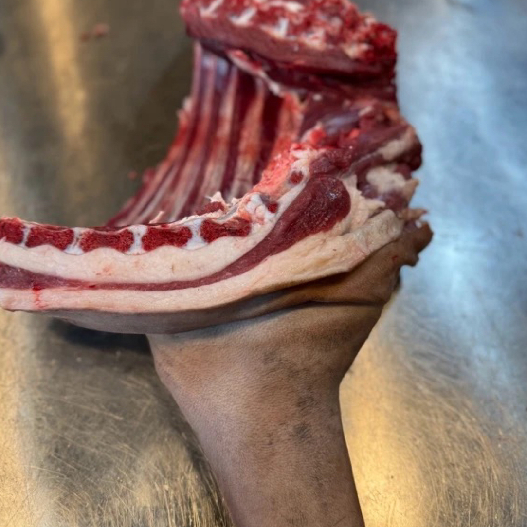 羊前腿新鲜羊肉甘肃陇东黑山羊5斤
