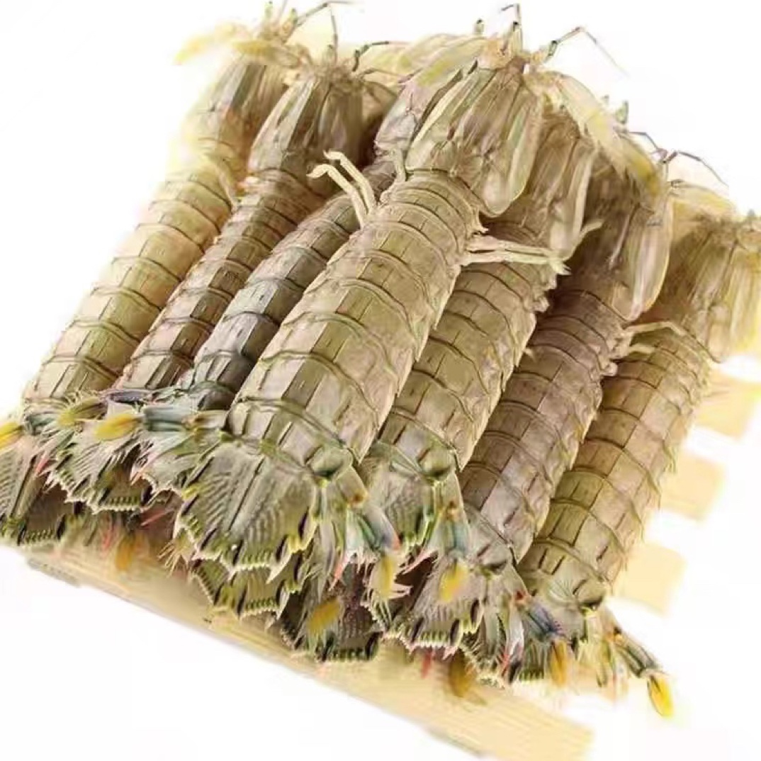 渤海湾本地皮皮虾 3斤起拍 保鲜保肥不保活