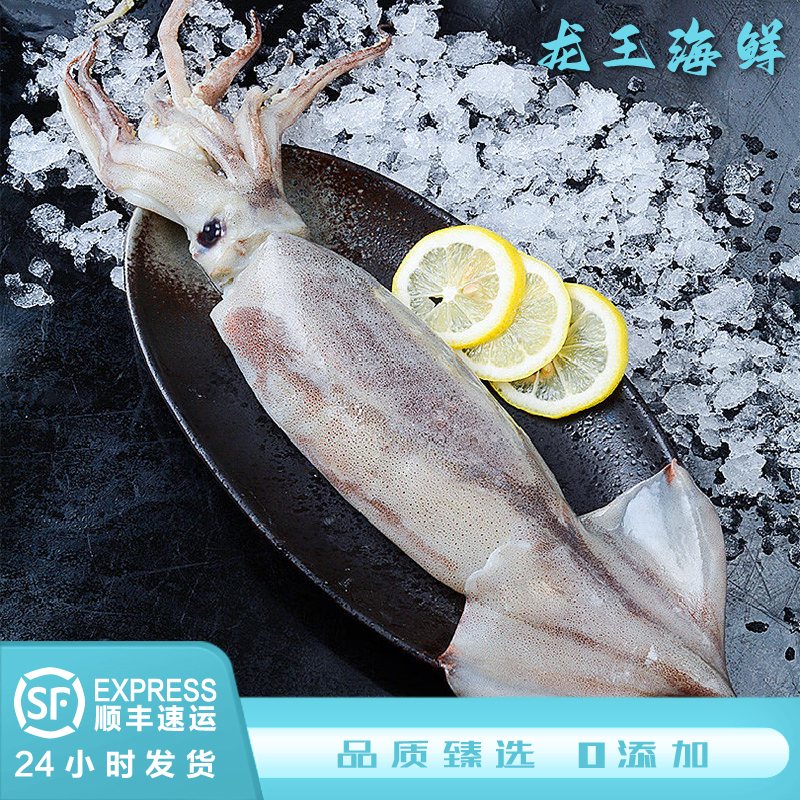 【鱿鱼】 鲜冻整条大鱿鱼 铁板鱿鱼海鲜 浙江舟山嵊泗鱿鱼 2000g起 