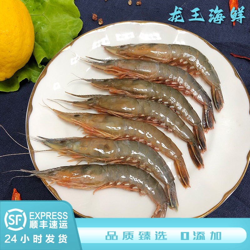 精品野生新鲜条虾浙江舟山嵊泗海鲜生鲜大虾海虾包邮营养鲜嫩直达