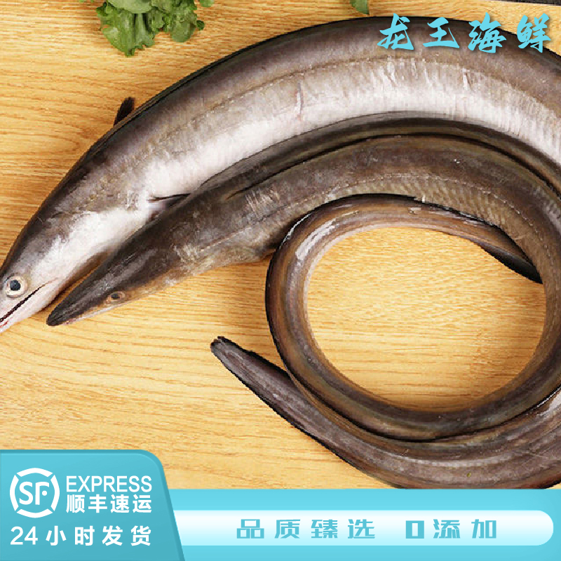 精品新鲜鳗鱼浙江舟山嵊泗3斤起海鲜团购套餐七星油鳗鱼肥厚包邮