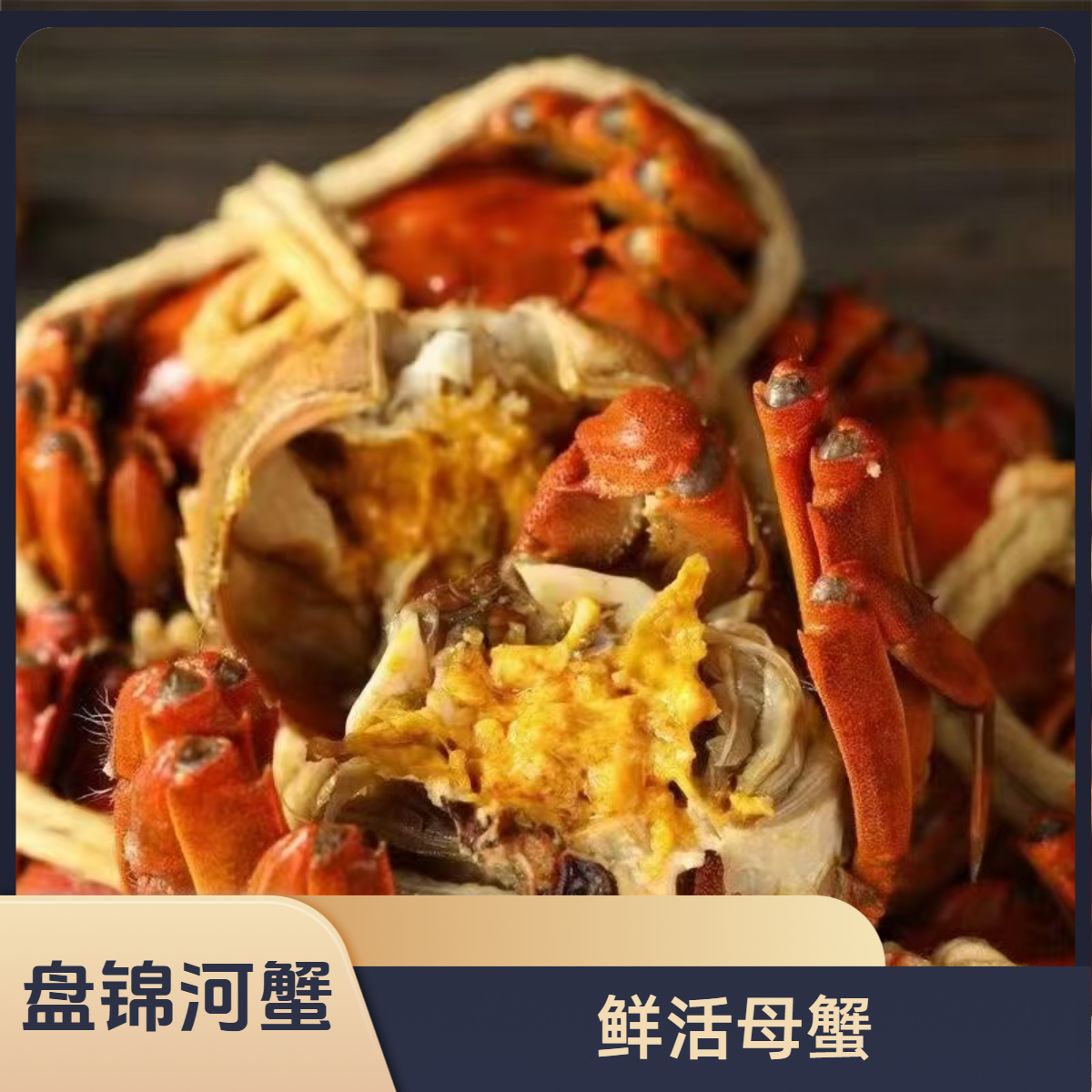 【盘锦河蟹】公母混搭蟹（母1.8-2.1两 /5只 公2.8-3.1两/5只）鲜活发