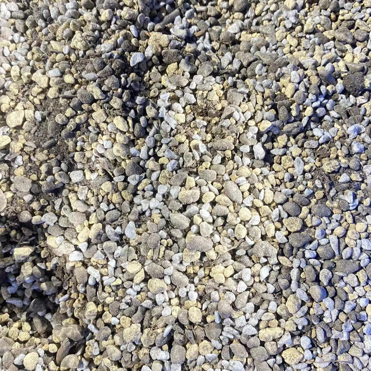 多肉透气疏松自配土龙舌兰小店自用土