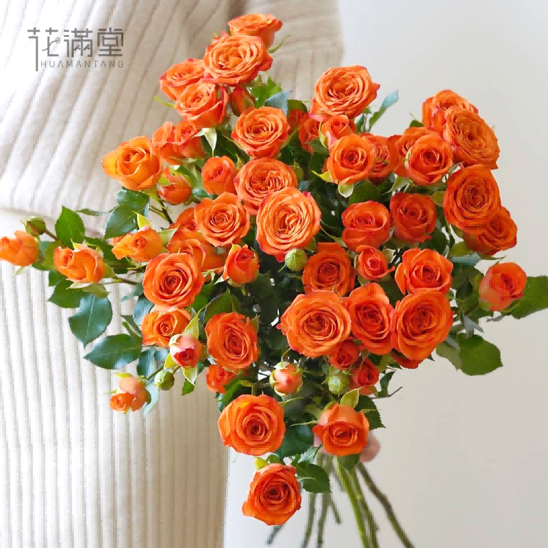 仅支持团结店【家居鲜花】多头玫瑰1扎/7-12支/颜色随机介意者慎拍