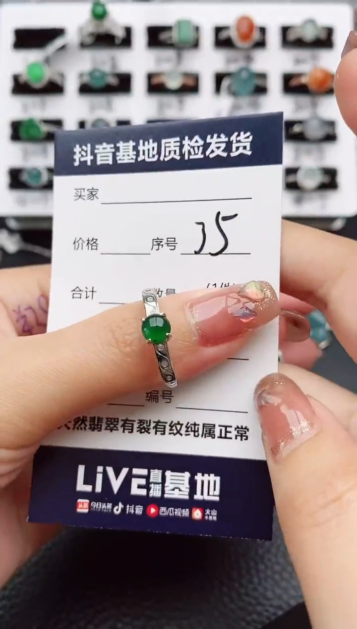 【闪购商品】翡翠颈饰银S925镶嵌35