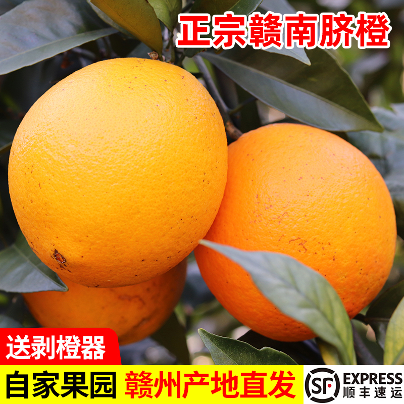 正宗江西橙子赣南脐橙当季新鲜水果赣州手剥甜橙会昌产地直发10斤