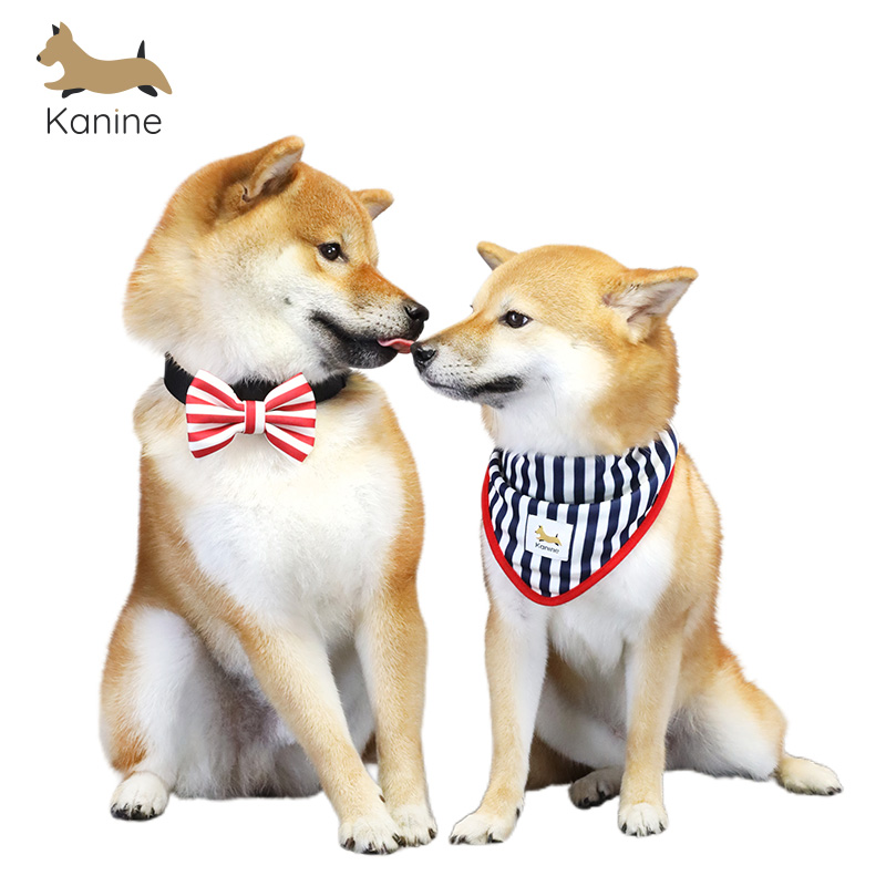 Kanine凯宁宠物可爱狗头巾蝴蝶结两件套套装K2FDCA013