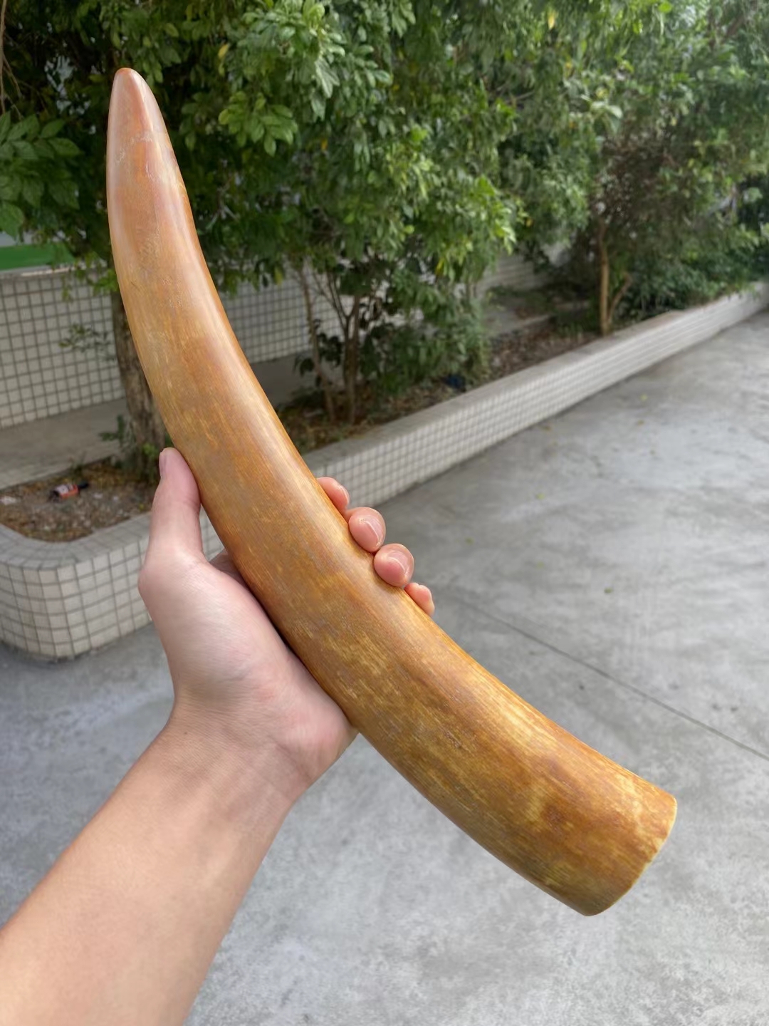 猛犸黄皮小段料子黄润