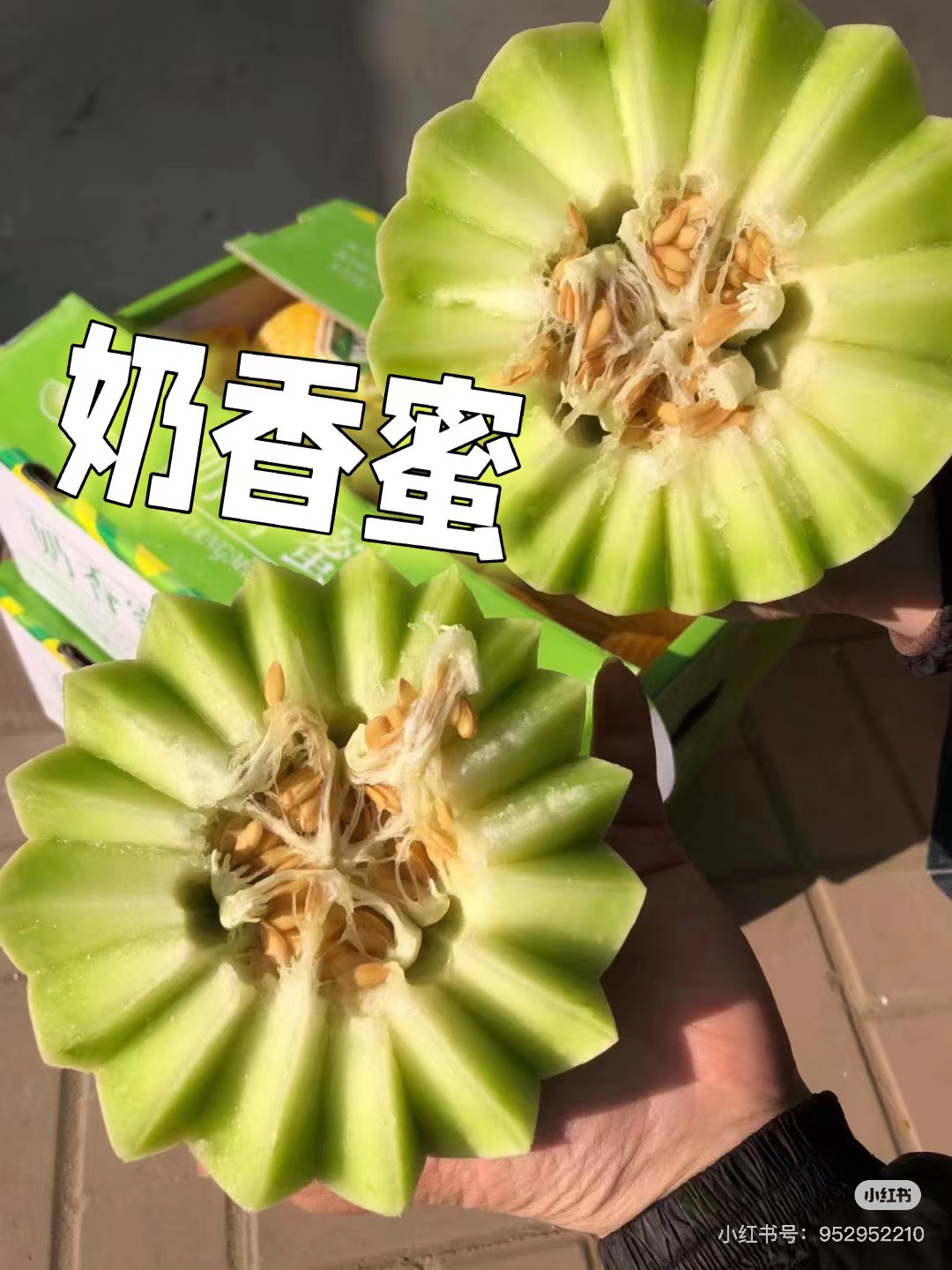 软口哈密瓜