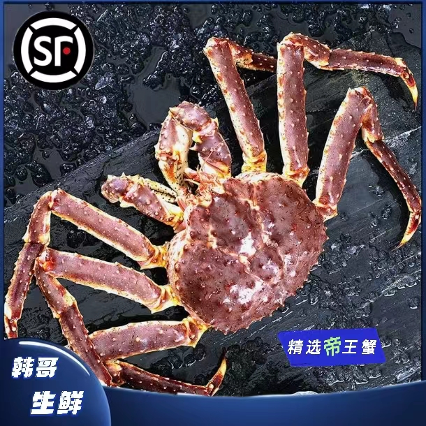 【韩哥生鲜】缺氧冰鲜俄罗斯帝王蟹