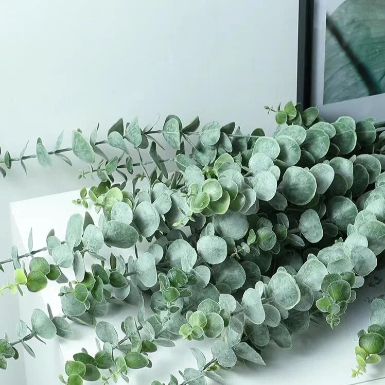 【尤加利】一扎  北方鲜花精选 一单韵达两单顺丰包邮到家