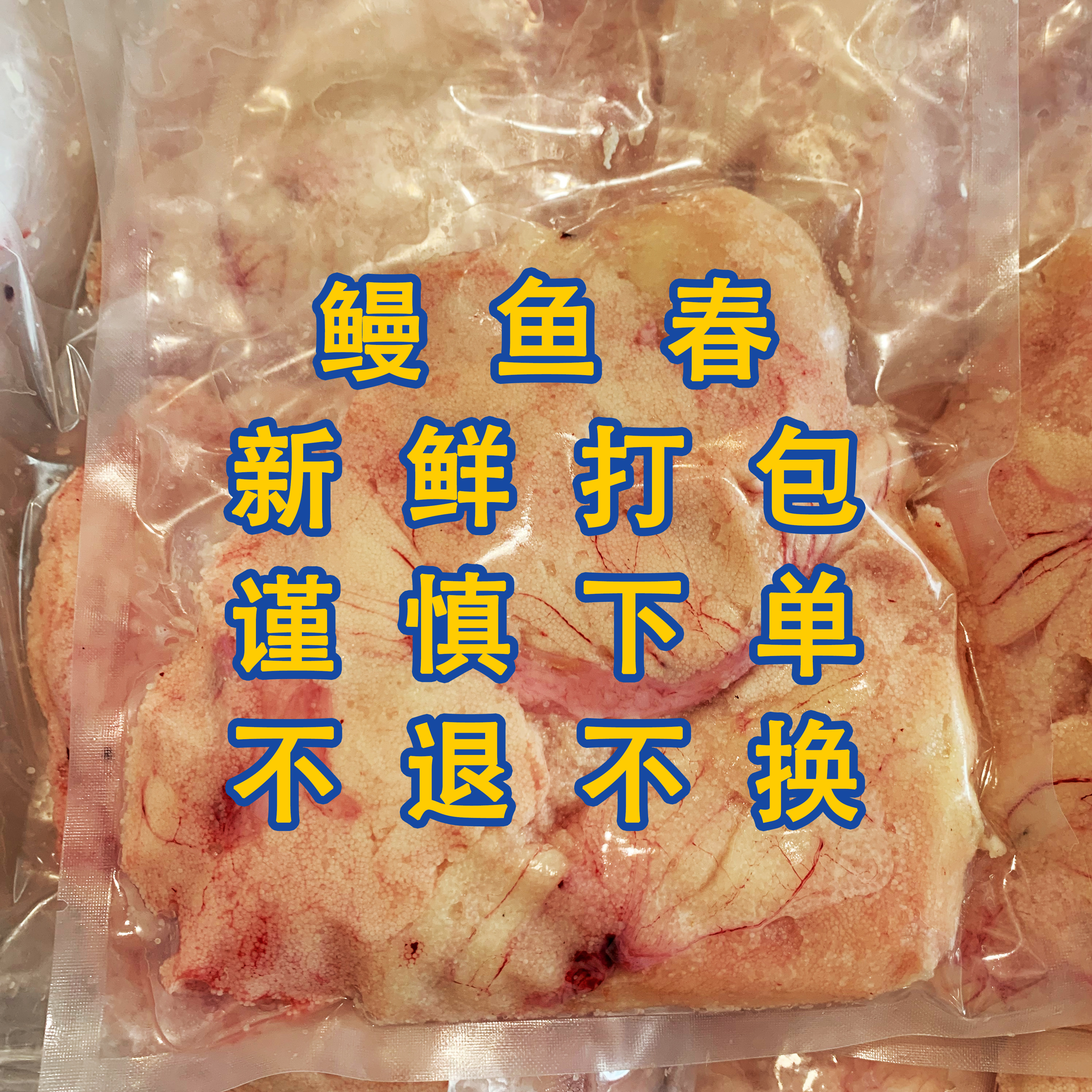 广东汕尾本港新鲜鳗鱼春 麻鱼春 鳗鱼籽 3斤起 顺丰冷链发货