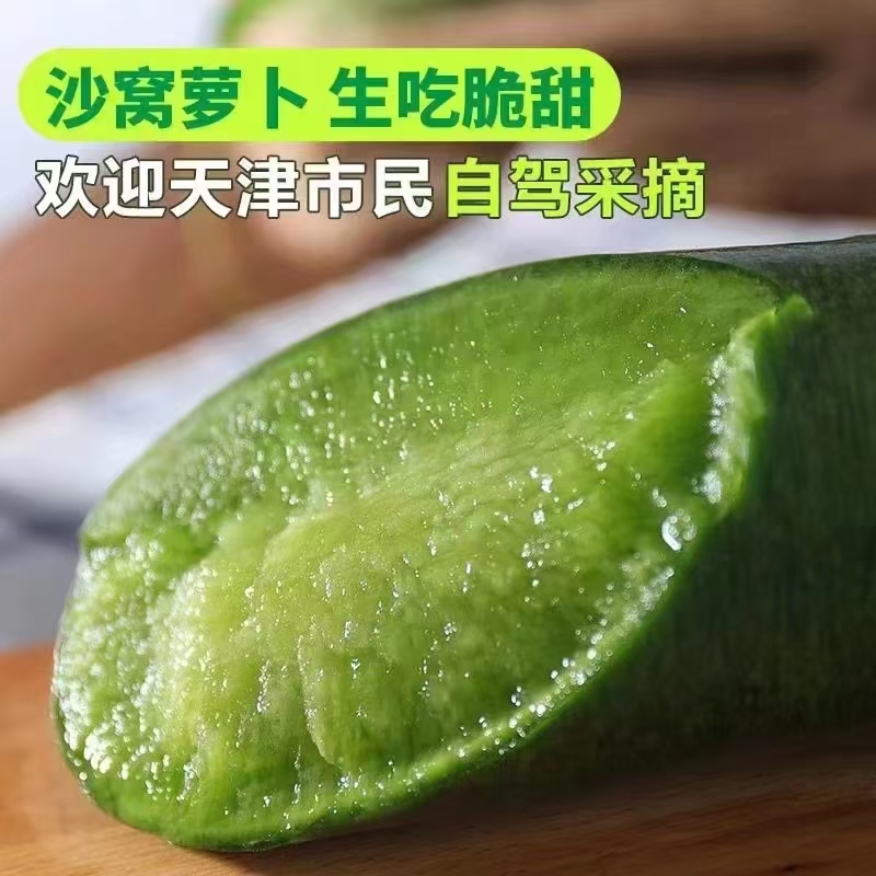 【沙窝萝卜】水果型脆甜可口