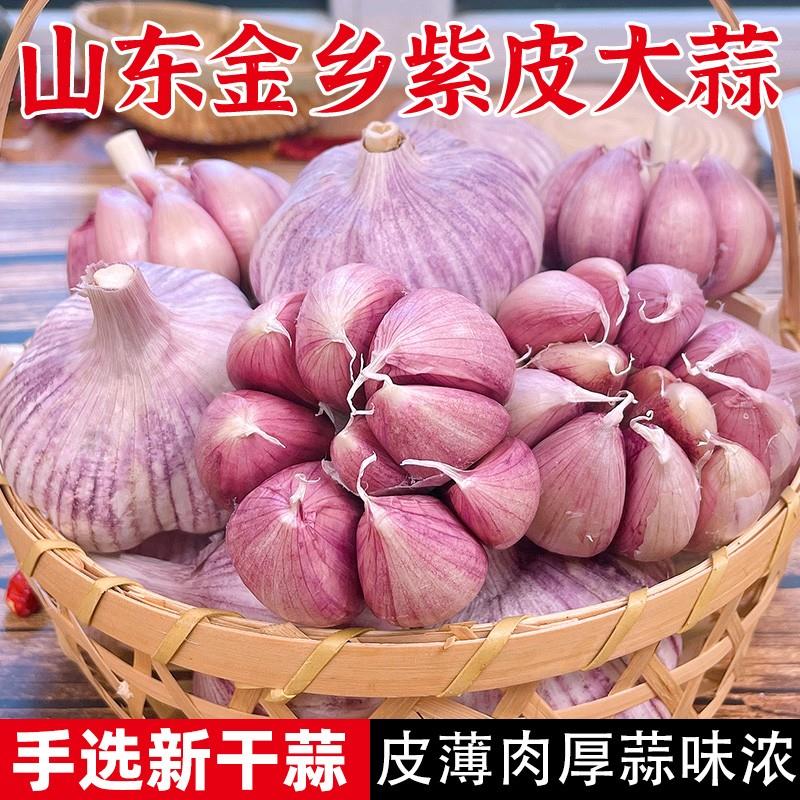 农家大蒜紫皮新鲜大蒜头5斤干蒜蔬菜山东干大蒜2斤批发非独头蒜