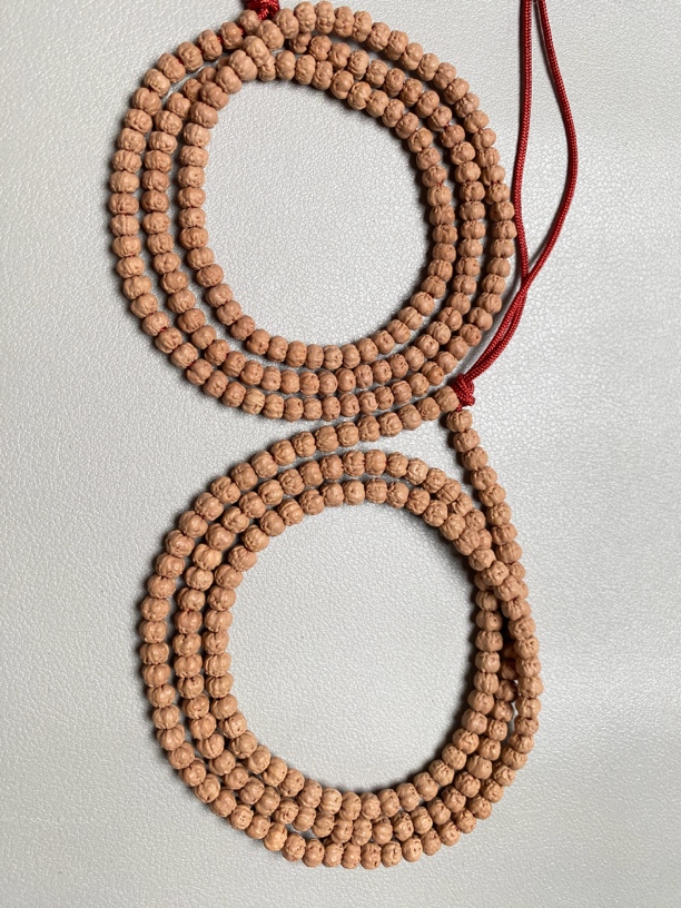 天然五爪金龙佛手小矮桩款式