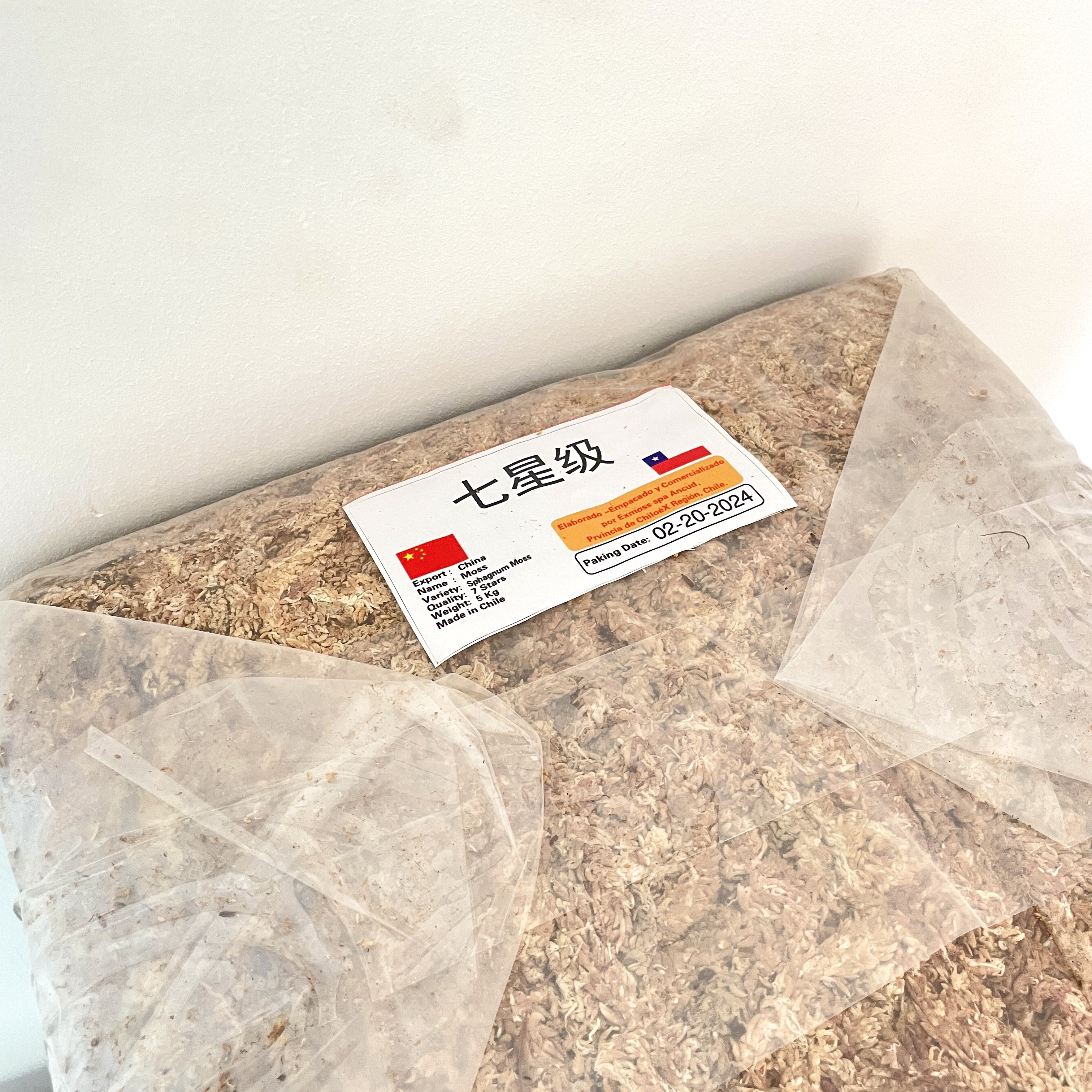 智利进口七星水苔/蝴蝶兰专用/毛毛虫水苔/花土铺面