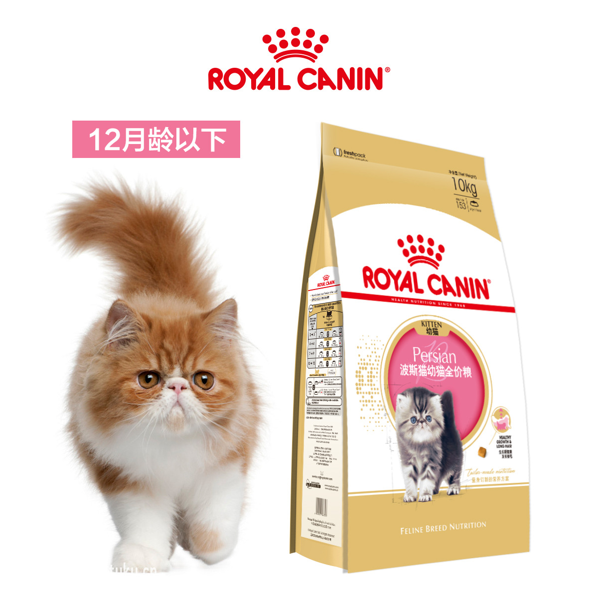 皇家猫粮 波斯猫幼猫全价粮金吉拉短毛幼猫粮 猫主粮