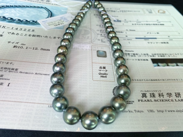 10-12mmm大溪地黑珍珠项链日本真科研孔雀绿