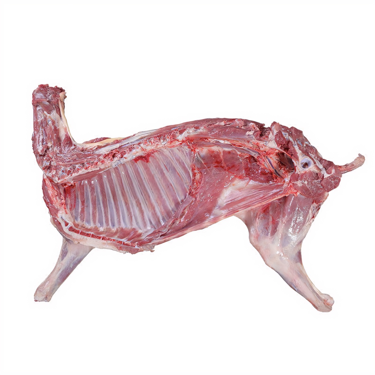 《半羊》农村放牧白山羊羯羊肉（直播间现称 理性消费 分割不退）